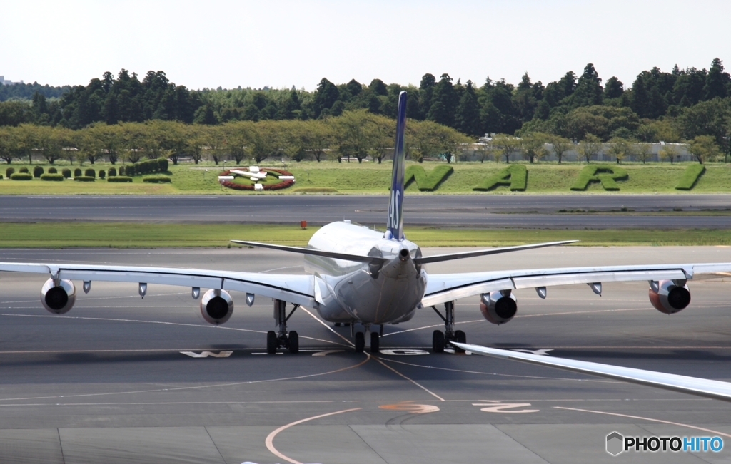 SAS A340-313 お尻でごめん！
