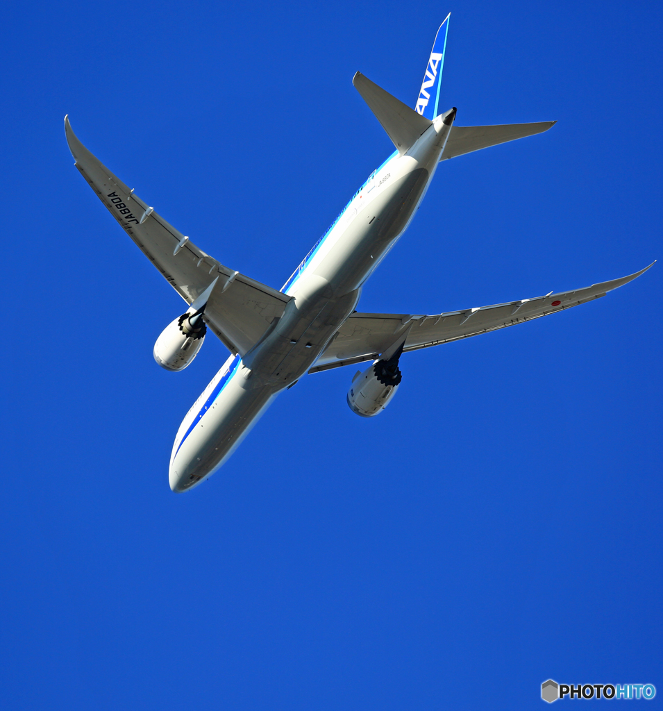 「ぶるー」 ANA 787-9 JA880A