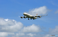 着陸 ETIHAD A340-600 A6-EHF