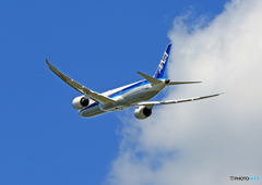 「青色が好き」 ANA 787-8 JA836A 出発