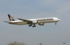 「☁雲なし」 Singapore 777-312 9V-SWL Landing 「☁雲なし」 Singapore 777-312 9V-SWL Landing