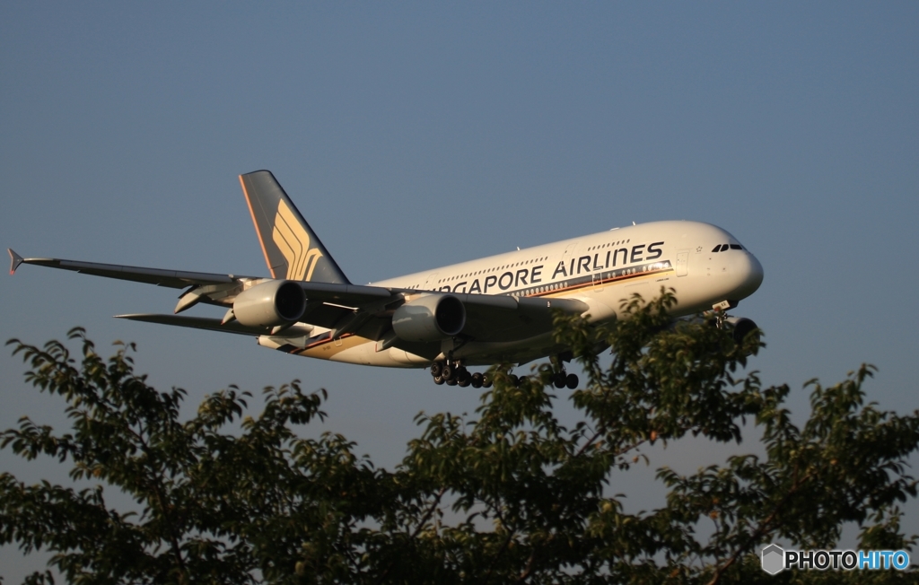 Singapore A380-841 9V-SKR ✈