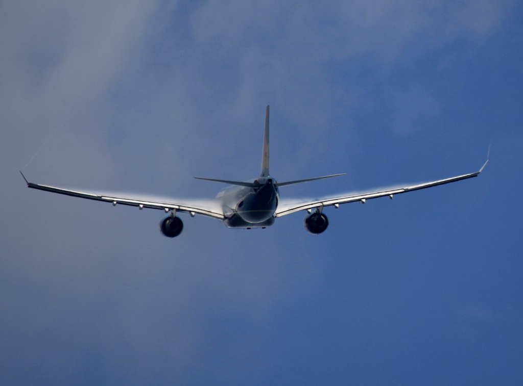 vietnam A330-200 何？