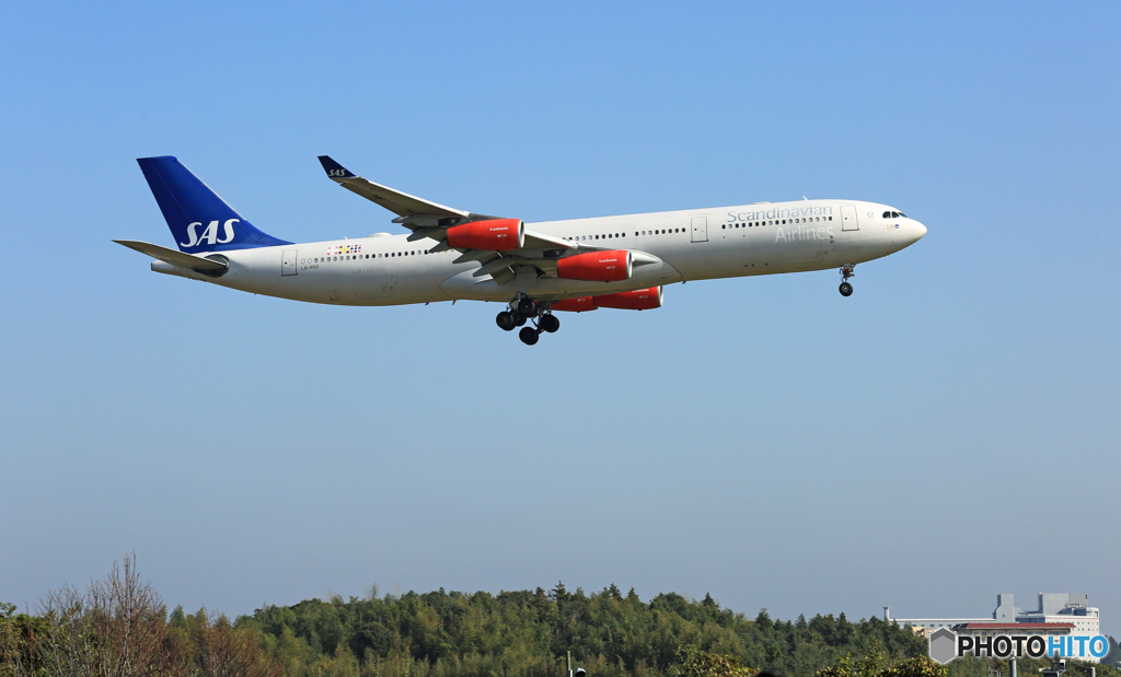 到着 SAS A340-313 LN-RKG