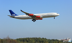 到着 SAS A340-313 LN-RKG