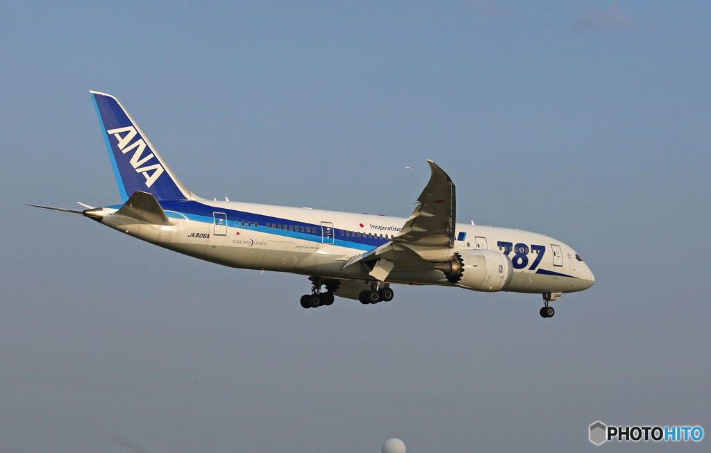 ANA 787-8 JA806A[青い空]　