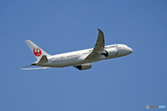 出発 JAL 787-8 JA842J