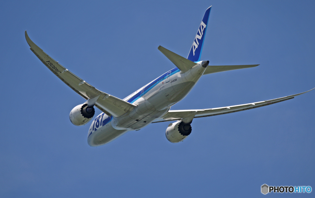 ANA 787-8 JA806A 飛び立ち 