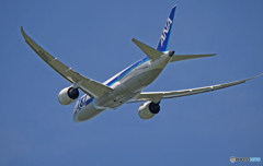 ANA 787-8 JA806A 飛び立ち 