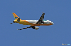 離陸 CEBU A320-214 RP-C3262