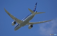 ANA 787-8  離陸　