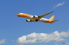 ☀「青い空」が一番scoot 787-9 9V-OJE Takeoff
