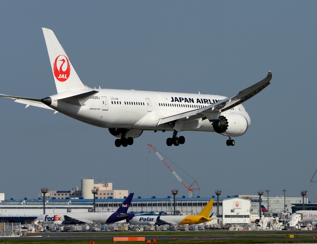 JAL 787-8 到着　