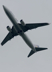離陸(18)SKY 737-8HX 離陸(18)SKY 737-8HX