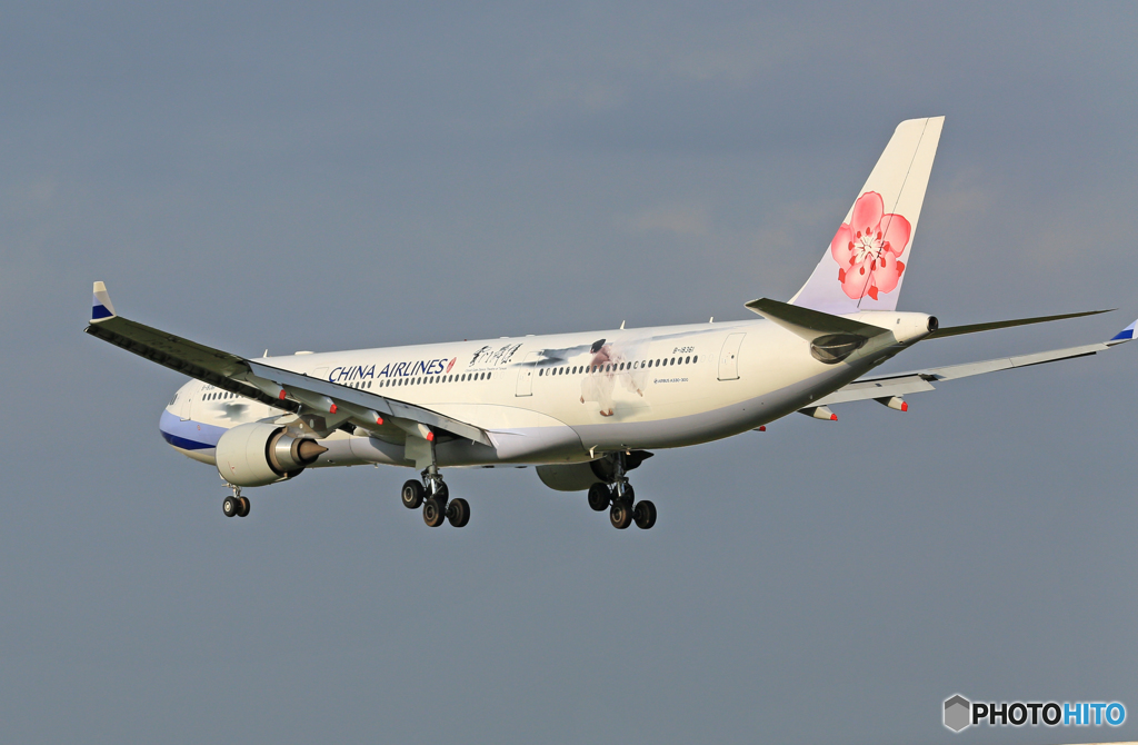着陸CHINA A330-300 特別塗装機 B-18361