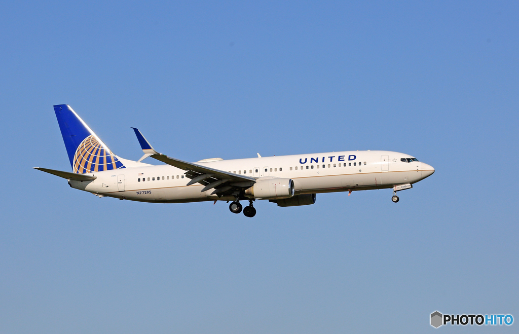 着陸 United 737-800 N77295 ｼﾐﾀｰW