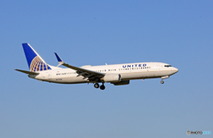 着陸 United 737-800 N77295 ｼﾐﾀｰW