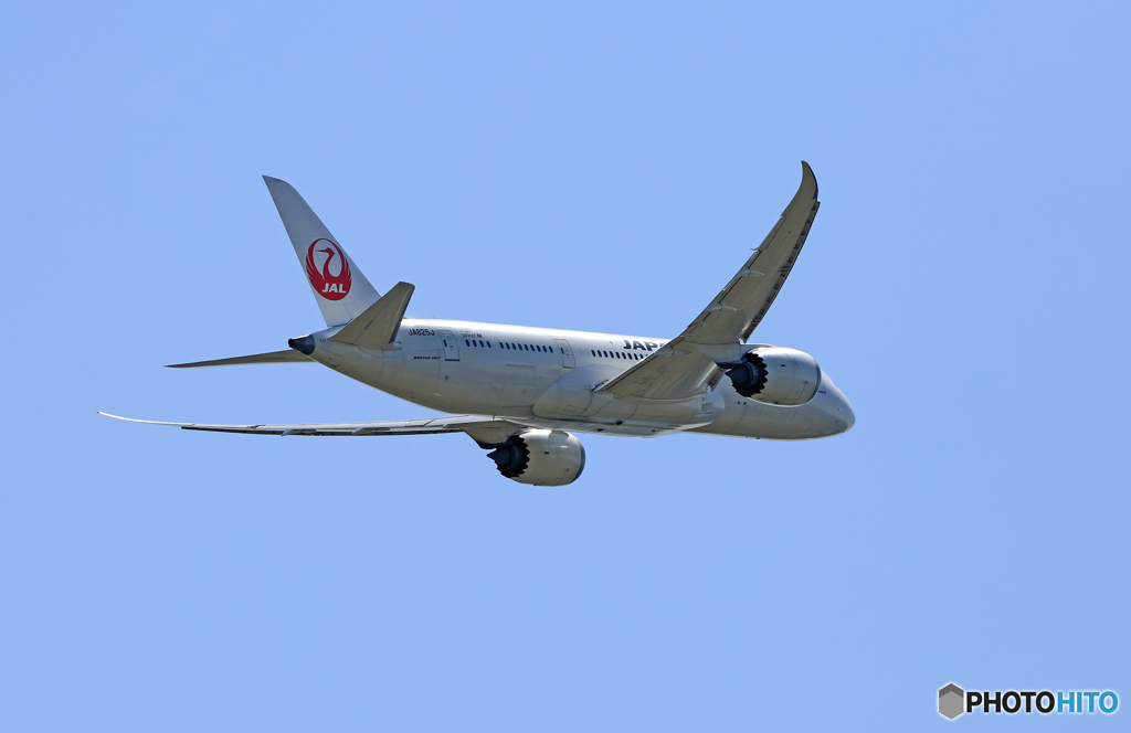 JAL 787-8 JA825J  離陸　