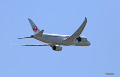 JAL 787-8 JA825J  離陸　
