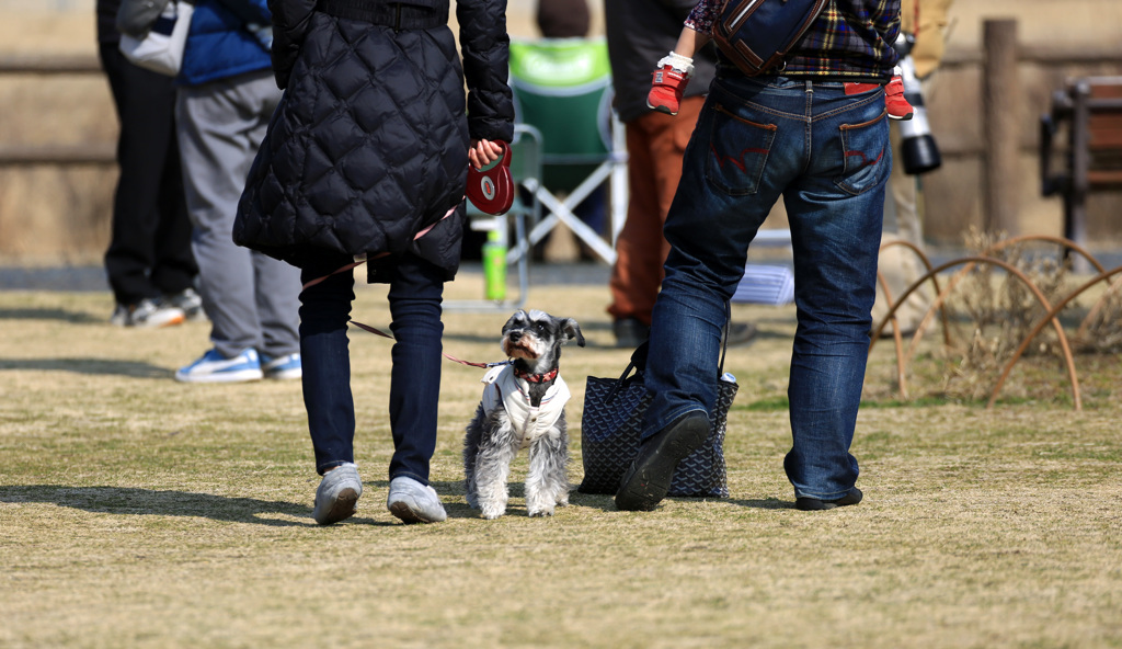 ☮休憩ﾀｲﾑ(358) 「犬」 え～,　何んだって?