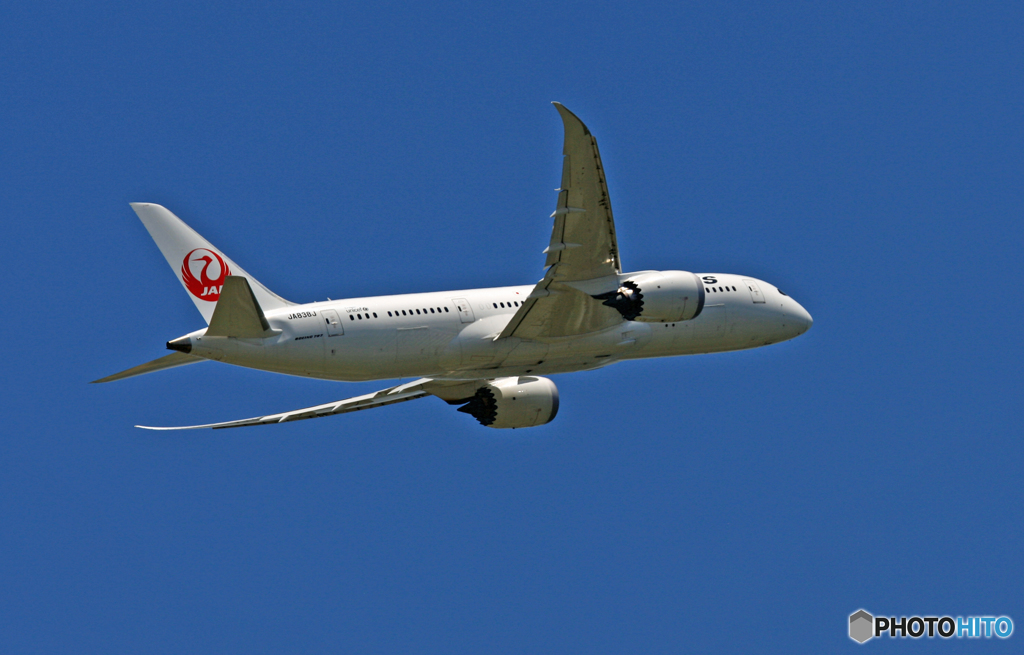 飛び立ち JAL 787-8 JA838J