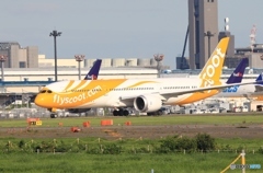 scoot 787-9  離陸　
