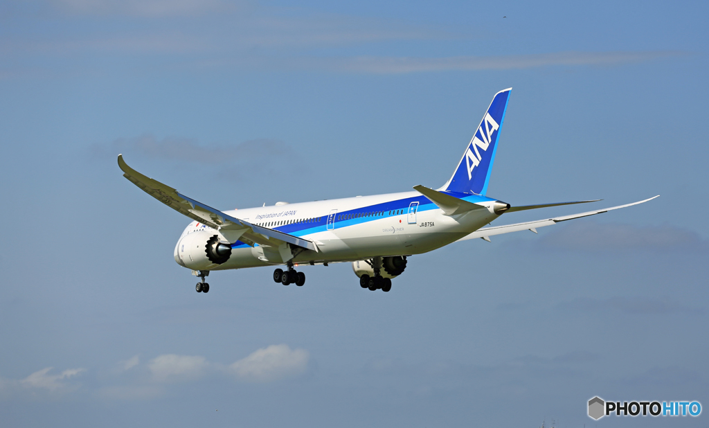 「青空」 ANA 787-8 JA875A