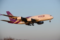 Thai A380-841 到着