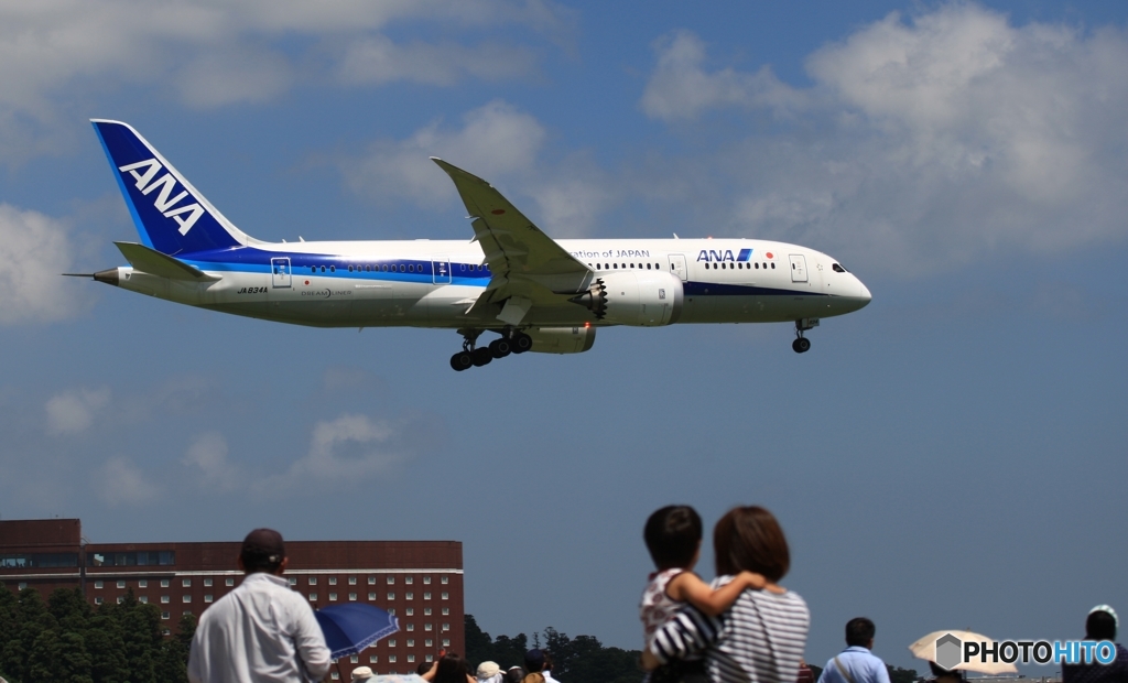 ANA 787-8 ほら見た！