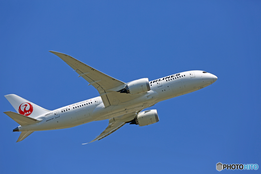 出発　JAL 787-8 JA837J