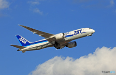 ANA 787-8 JA813A 飛び立ち　