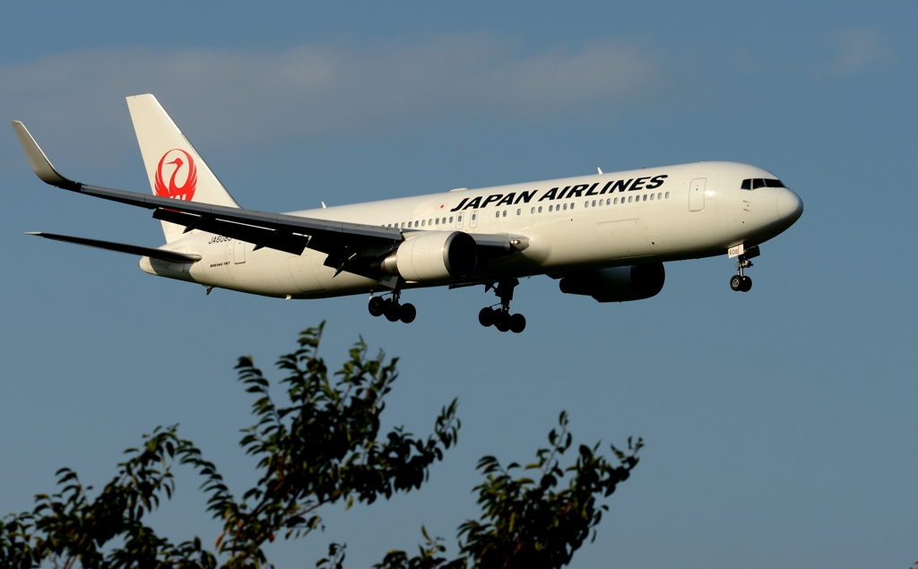 着陸（82）Japan Airlines 767-346ER [a]