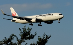 着陸（82）Japan Airlines 767-346ER [a]
