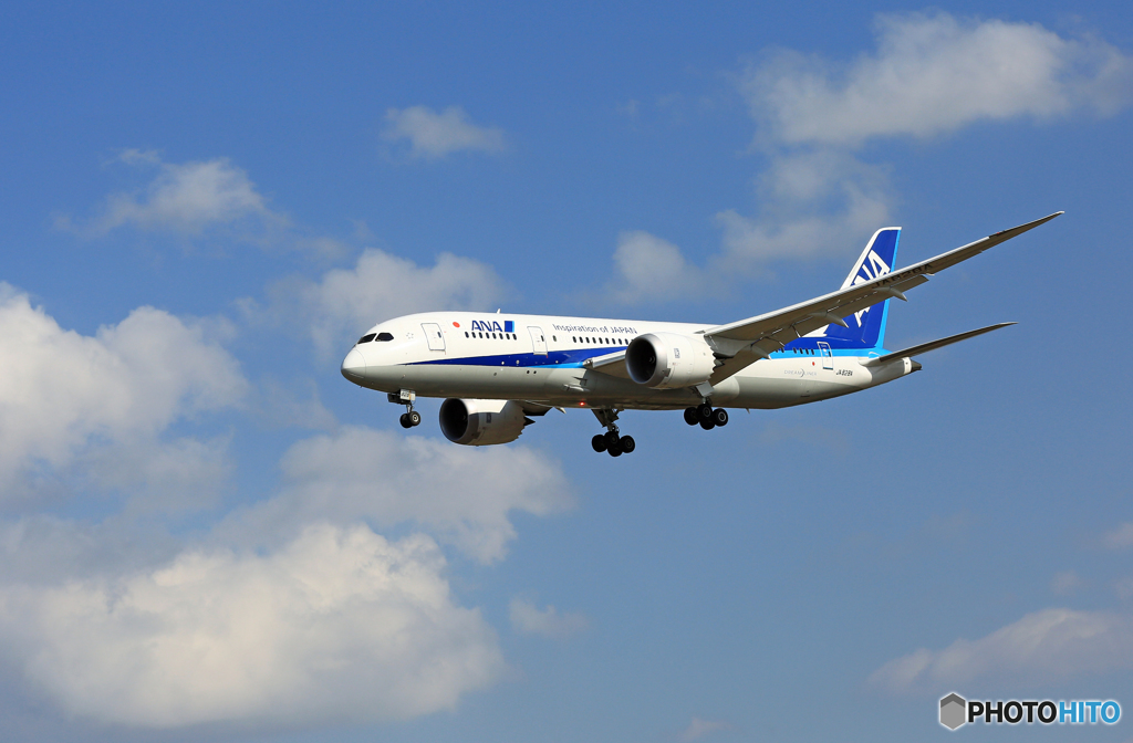 「青い空」が一番ANA 787-8 JA828A