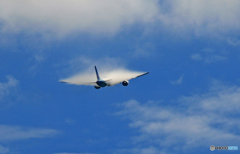 飛び立ち Garuda 777 べいぱー