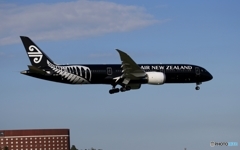 Air New Zealand 「All Blacks」787-9