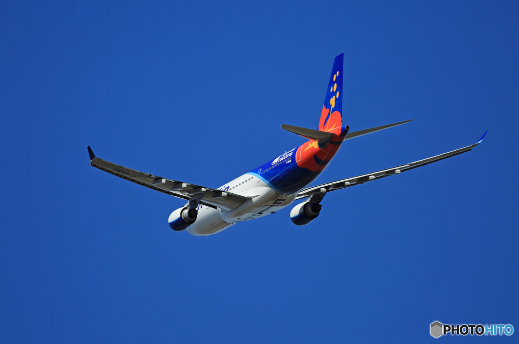 [青い空] Air Calin A330-202 F-OHSD出発