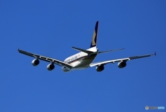 出発　Singapore A380-841