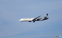遠い Air New Zealand B787-9 ZK-NZD