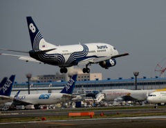 着陸 Aurora 737-500