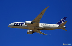 LOTポーランド航空 B787-8 SP-LRC✈本日成田就航　