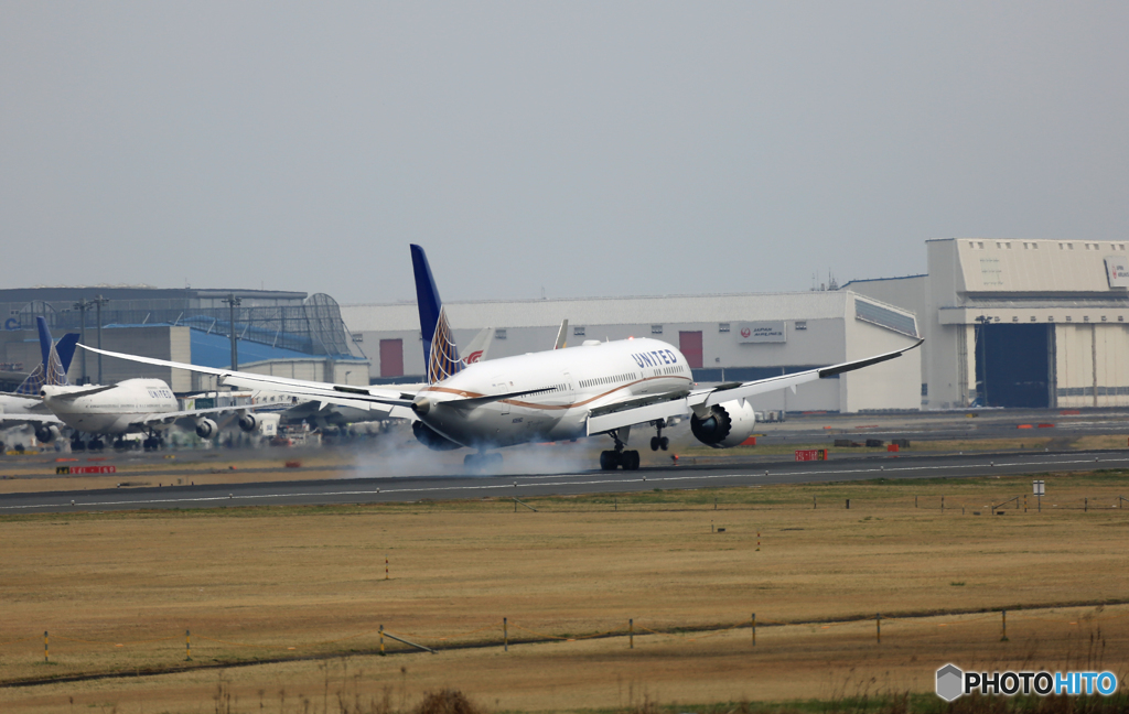 UNITED 787-8 N36952 到着 