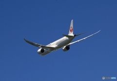 JAL 787-9 JA861J 出発