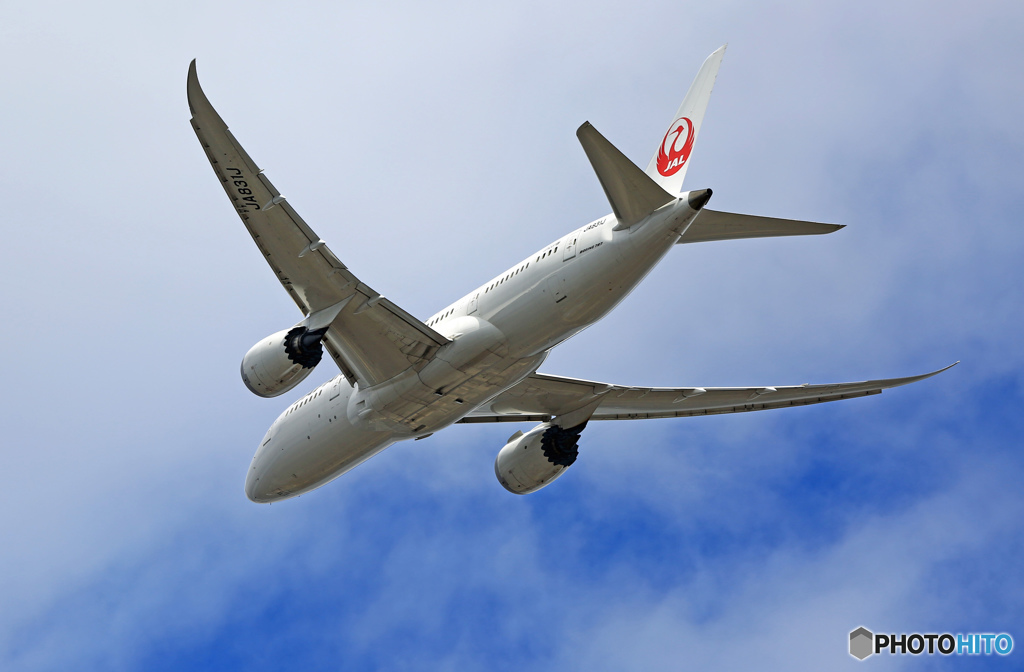 JAL 787-8 JA820AJ 出発 