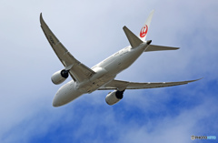 JAL 787-8 JA820AJ 出発 