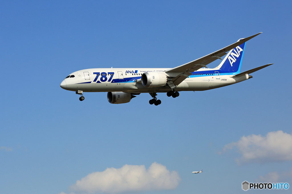 ☀ANA 787-8 JA806A  Landing