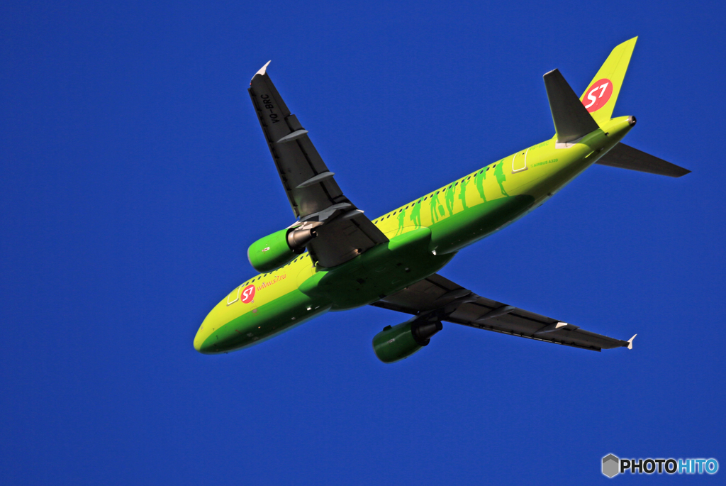 「スカイ」 S7 A320-214 VQ-BRC ☀