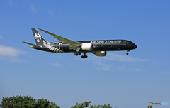 Air New Zealand[All Blacks]B787-9 ZK-NZE