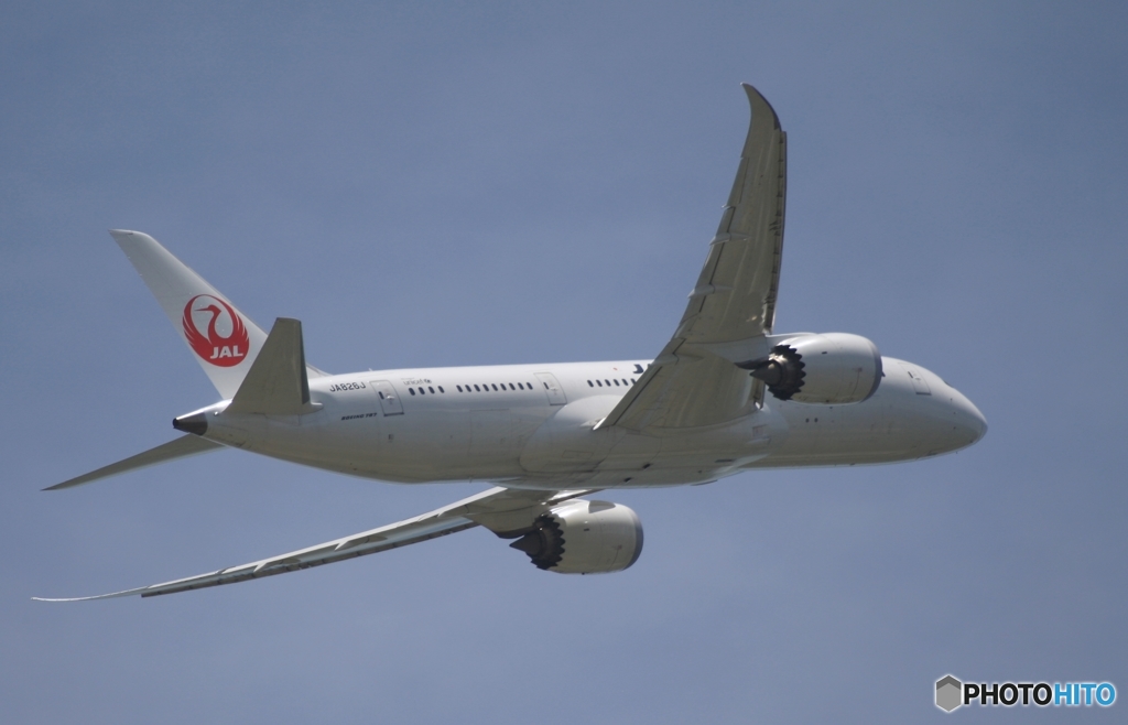 JAL 787-8 飛行　