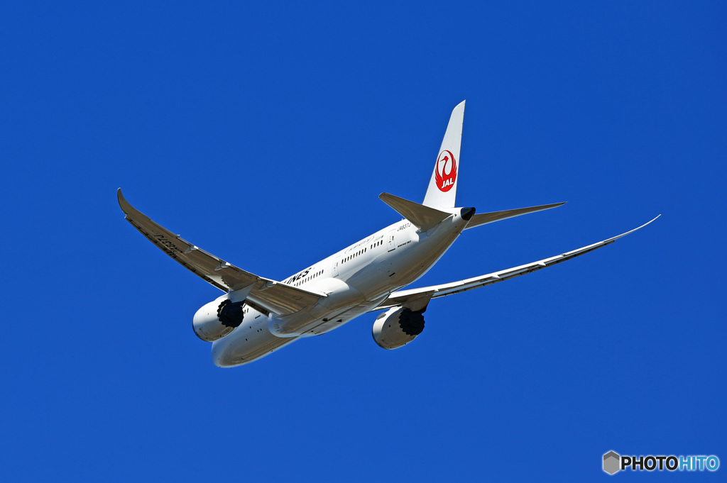 JAL 787-8 JA837J 出発 